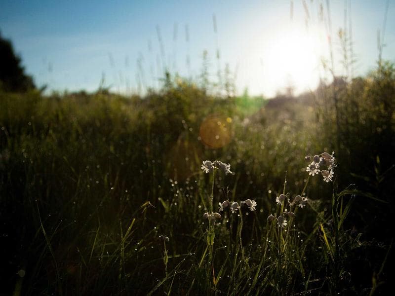 Milo İkili Kanepe